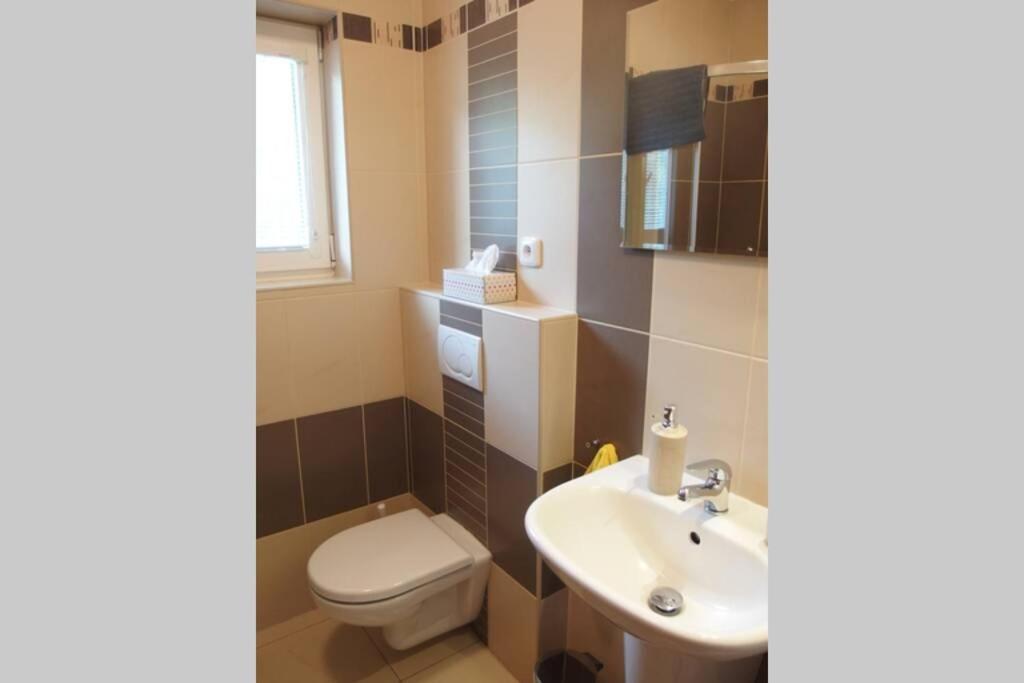 Prijemny Apartman Krovi V Rodinnem Domku Se Sdilenym Bazenem, Terasou A Zahradou Esterno foto